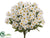 Daisy Bush - White - Pack of 12