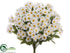 Silk Plants Direct Daisy Bush - White - Pack of 12