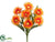 Spider Gerbera Daisy Bush - Orange - Pack of 12