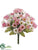 Mini Daisy Bush - Pink Cream - Pack of 24