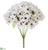 Mini Daisy Bush - White Black - Pack of 24