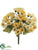 Mini Daisy Bush - Yellow Two Tone - Pack of 24