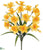 Daffodil Bush - Yellow - Pack of 12