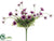 Daisy Bush - Purple Two Tone - Pack of 24