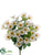 Daisy Bush - White - Pack of 12