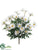 Daisy Bush - White - Pack of 12