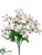 Dogwood Bush - White Purple - Pack of 24