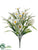 Daisy Bush - Cream White - Pack of 12