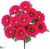 Gerbera Daisy Bush - Beauty - Pack of 12