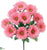 Gerbera Daisy Bush - Coral - Pack of 12