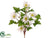 Daisy Bush - White - Pack of 12