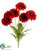 Gerbera Daisy Bush - Red - Pack of 12