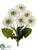 Gerbera Daisy Bush - White - Pack of 12