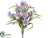 Daisy Bush - Lilac - Pack of 12