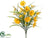 Daisy Bush - Yellow - Pack of 12