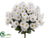 Daisy Bush - White - Pack of 12