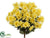 Daisy Bush - Yellow - Pack of 12