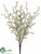 Forsythia Bush - Cream - Pack of 12