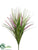 Rattail Grass Bush - Purple Two Tone - Pack of 12