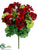 Geranium Bush - Red - Pack of 12