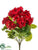 Geranium Bush - Red - Pack of 12