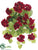 Geranium Hanging Bush - Red - Pack of 6