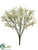 Baby's Breath Bush - Cream - Pack of 24