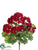 Geranium Bush - Red - Pack of 12