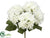 Hydrangea Bush - Cream - Pack of 12