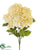 Hydrangea Bush - Beige - Pack of 12