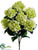 Hydrangea Bush - Green - Pack of 12