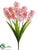 Hyacinth Bush - Pink - Pack of 12