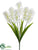 Hyacinth Bush - White - Pack of 12