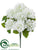 Hydrangea Bush - White - Pack of 12