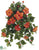 Hibiscus Hanging Bush - Orange - Pack of 4