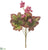 Flowering Heuchera Bush - Mauve Purple - Pack of 12