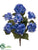 Hydrangea Bush - Helio - Pack of 6