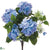 Hydrangea Bush - Blue Two Tone - Pack of 12