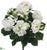 Hydrangea Bush - Cream - Pack of 6