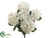 Hydrangea Bush - Cream - Pack of 12