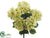 Hydrangea Bush - Green Pink - Pack of 12