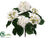 Hydrangea Bush - Cream - Pack of 12