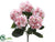 Hydrangea Bush - Pink - Pack of 6