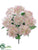 Hydrangea Bush - Pink Cream - Pack of 12