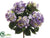 Hydrangea Bush - Lavender Two Tone - Pack of 12