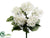 Hydrangea Bush - Cream - Pack of 12