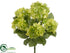 Silk Plants Direct Hydrangea Bush - Green Two Tone - Pack of 12