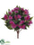 Impatiens Bush - Fuchsia - Pack of 6