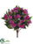 Impatiens Bush - Fuchsia - Pack of 6