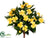 Impatiens Bush - Yellow - Pack of 6